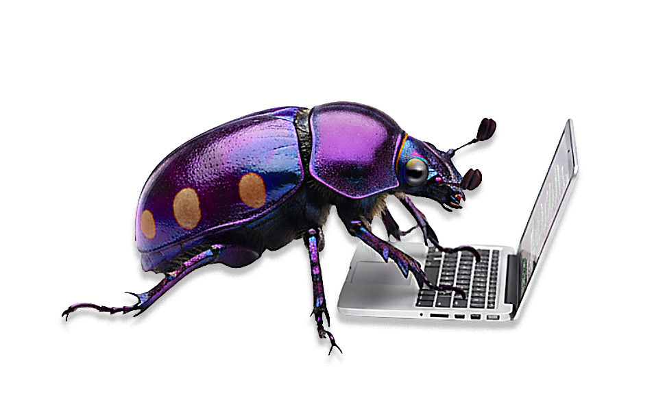 Freigestellter BugPublishing Käfer am Laptop